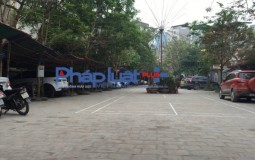 Vụ sân chơi cây xanh "biến mất": Gần 1 tháng chờ đợi, lãnh đạo phường Nhân Chính không hồi đáp