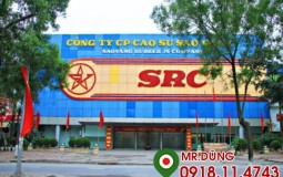 Tập đoàn Hoành Sơn và Cao Su Sao vàng cùng đầu tư xây dựng chung cư 231 Nguyễn Trãi