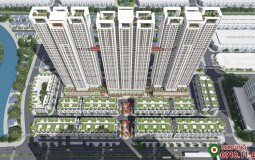 Dự án shophouse chung cư The Terra An Hưng