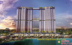 Chung cư Sky Oasis Ecopark