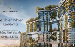 Chung cư Sky Forest Ecopark
