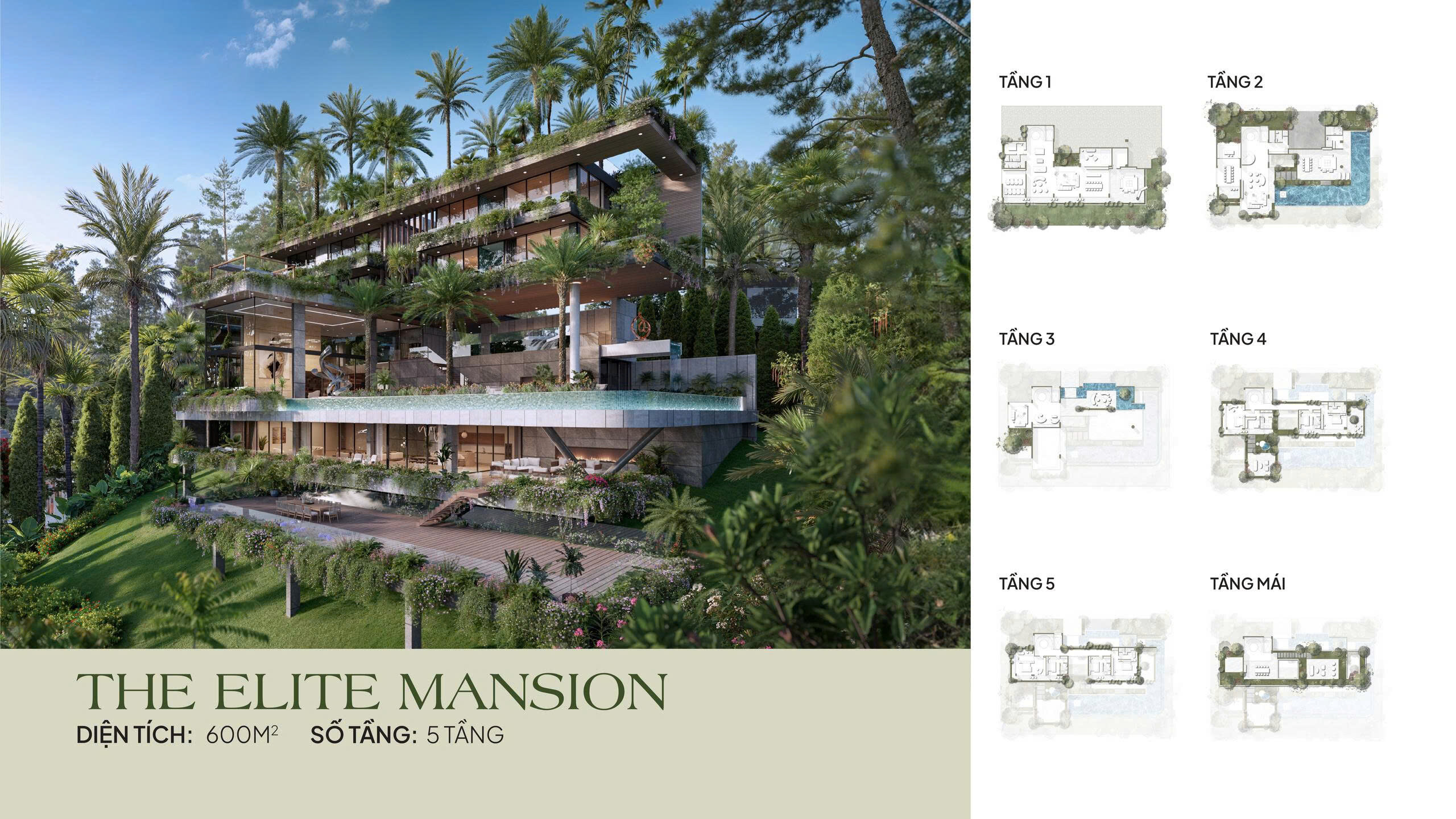 Mặt bằng The Elite Mansion Flamingo Hồ Núi Cốc